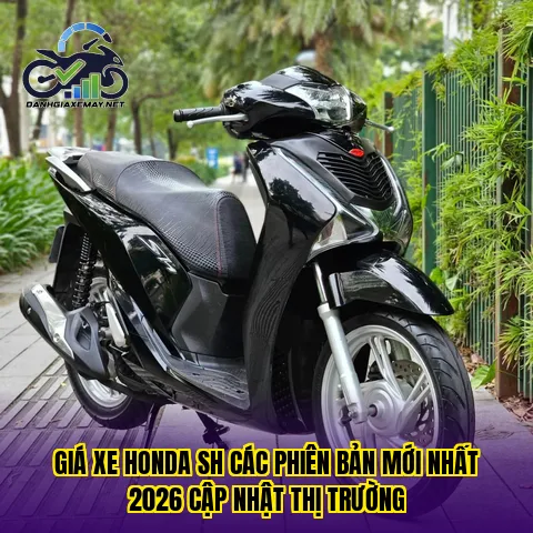 giá xe Honda SH các phiên bản mới nhất 2026 cập nhật thị trường