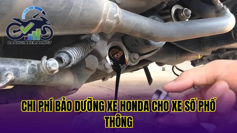 chi phí bảo dưỡng xe Honda cho xe số phổ thông